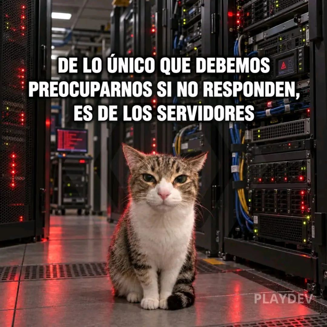 Cuando el servidor se cae y nadie responde: ¡El meme!