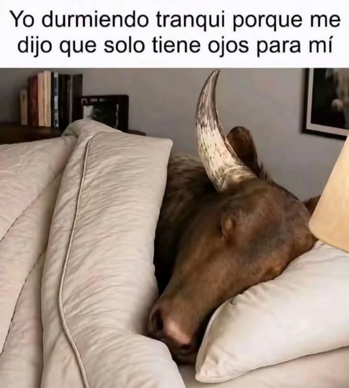 Memes para dormir tranquilo: ¡Adiós insomnio, hola risas!