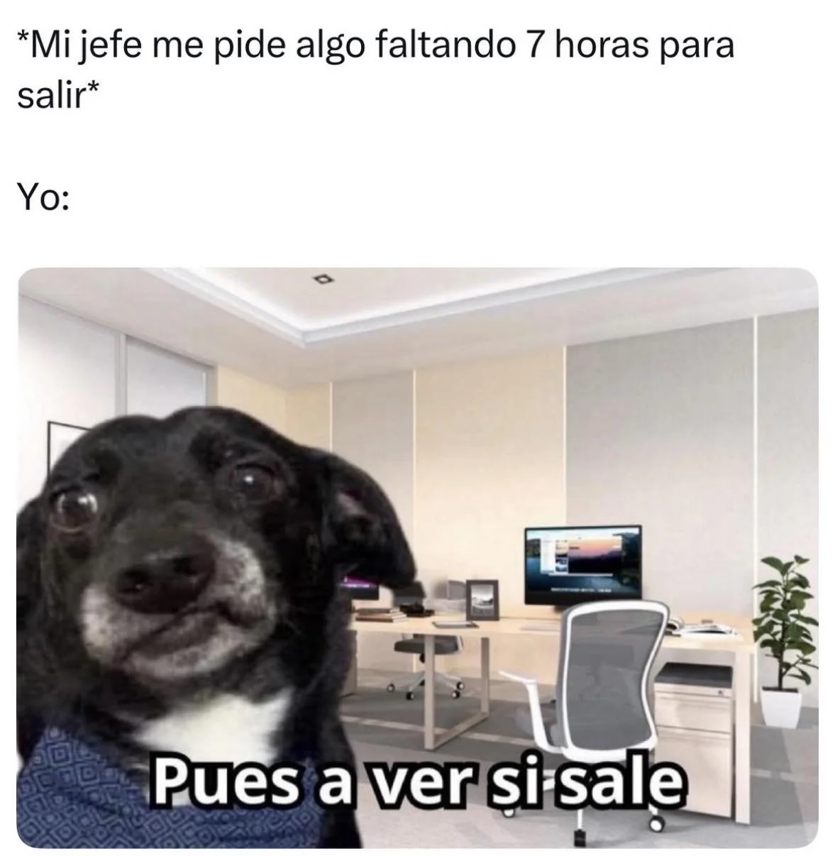 Vemos… ya el lunes.