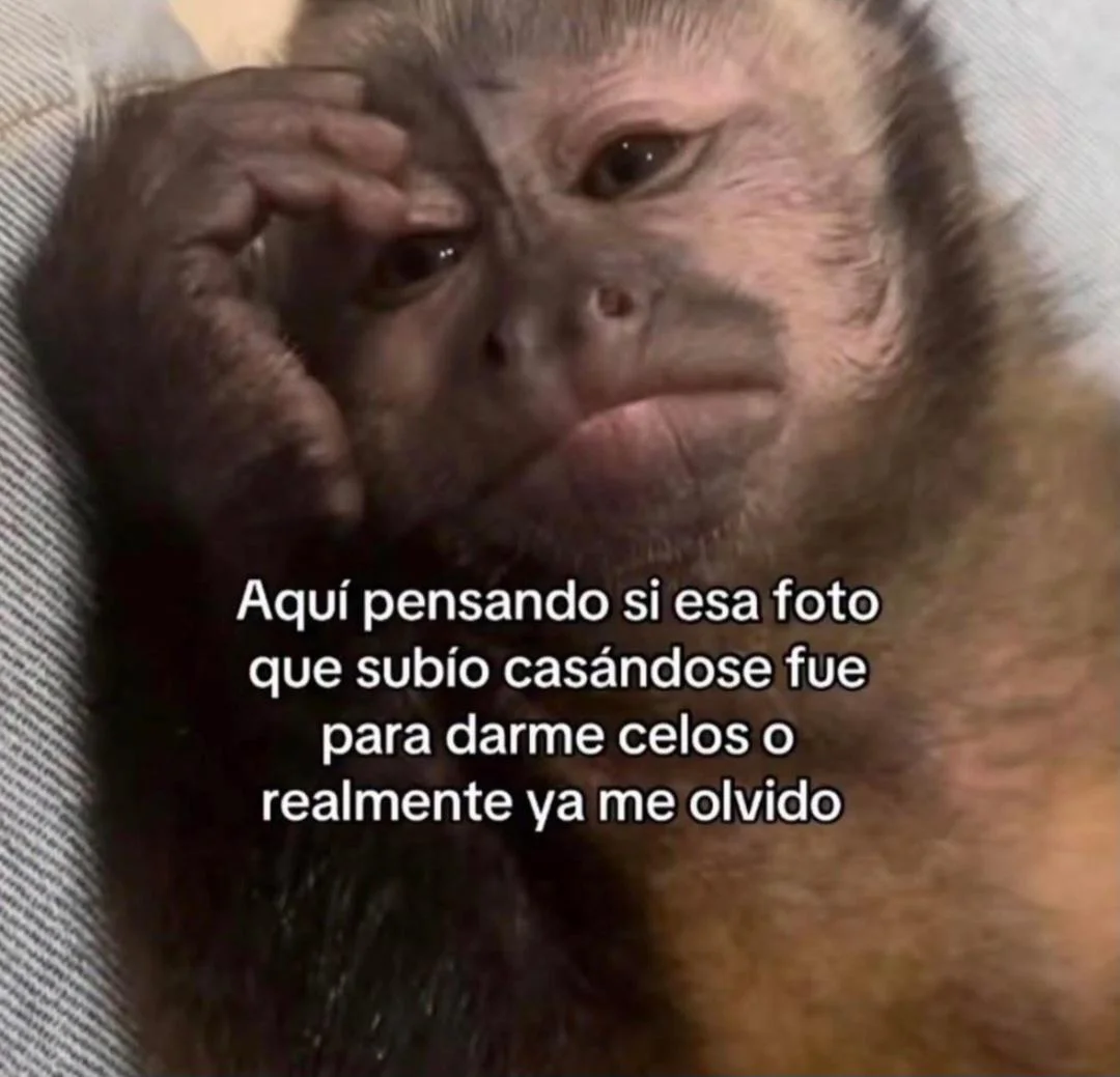 Nacho te extraño:'(
