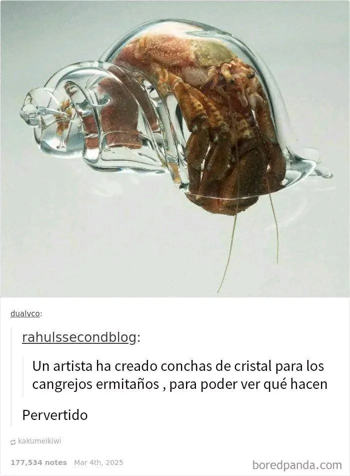 De otra red