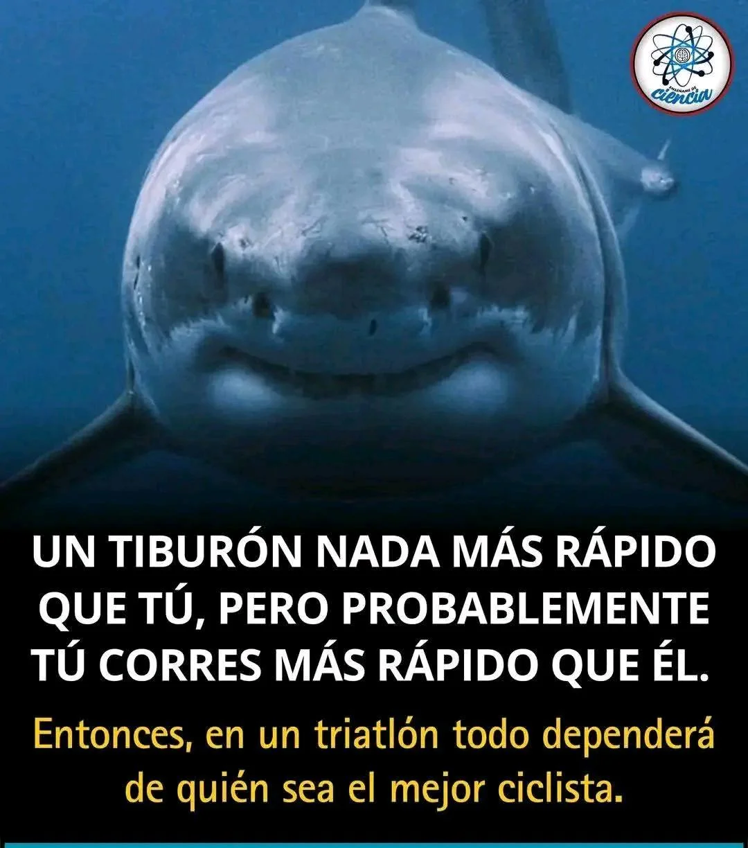 Para meditar