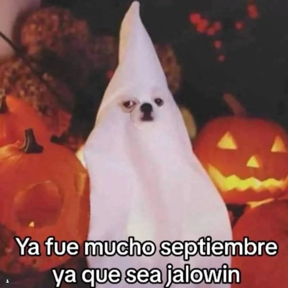 memes de hoy 💝