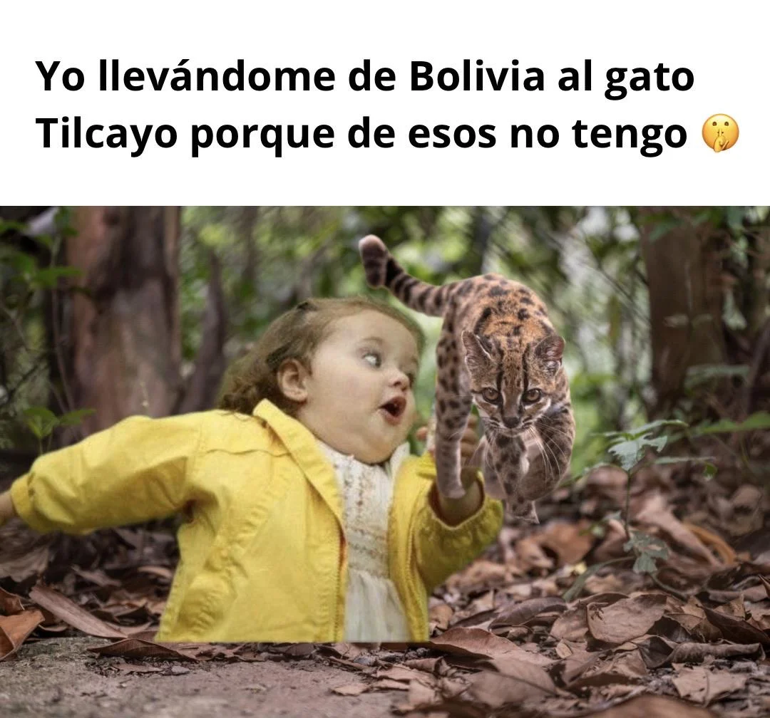 Uno no es ninguno: El meme que te hará sentir identificado