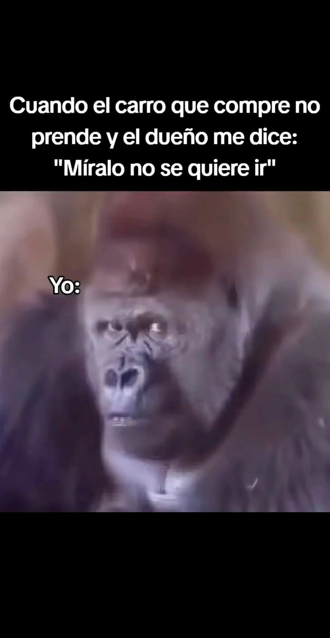 Jajjaa 🤨: El meme viral que te hará cuestionar todo