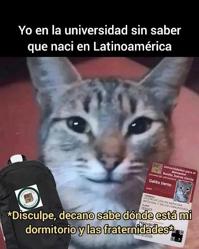 ¿Por qué en México y Latam no es así? Memes que lo explican