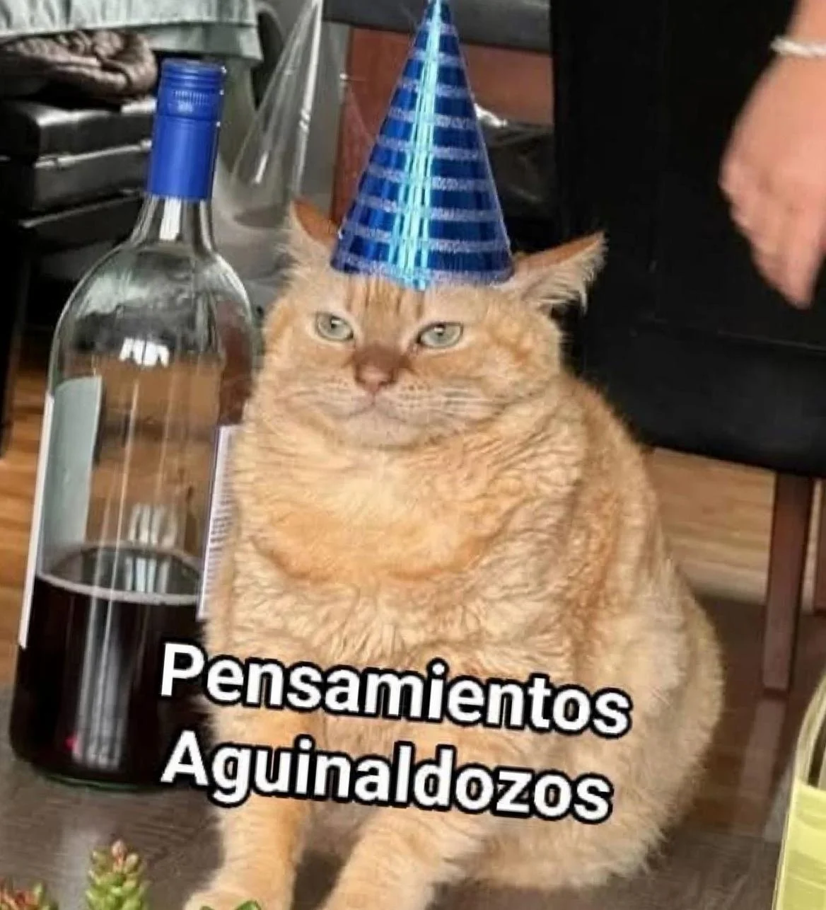 Mis favoritos y utiles para la vida laboral