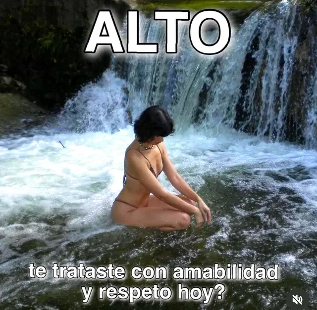 Memes de Feliz Año Nuevo 2024: ¡Amor y bendiciones para ti!
