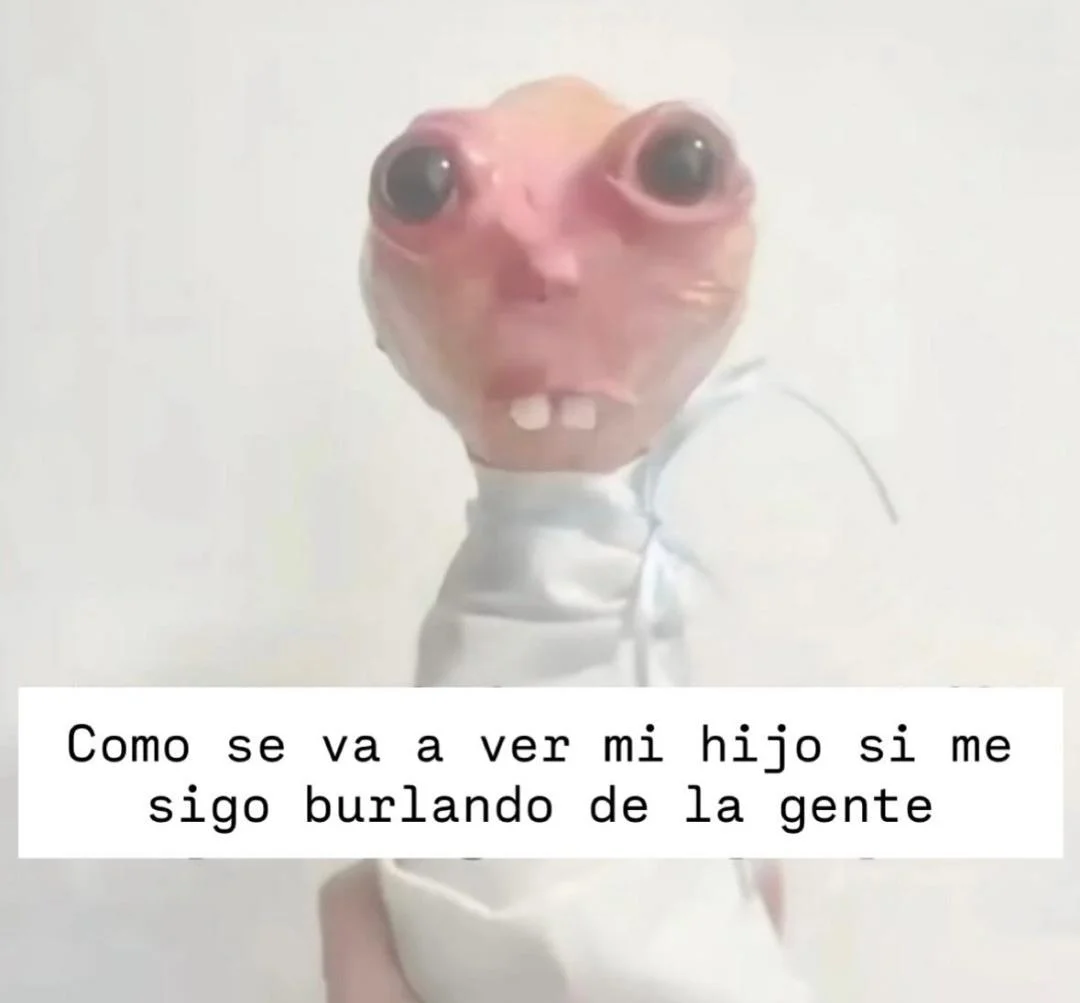 jajajajajaaja va a ser mi karma😂😂