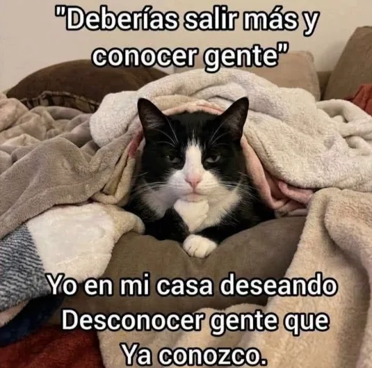 Mi personalidad se resume en esta foto