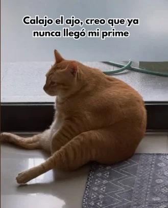 Yo después de creer por décima vez que ahora si puedo empezar el gym, sera un objetivo para el otro año
