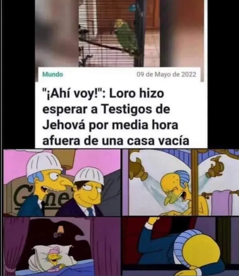 Maravillosa jugada