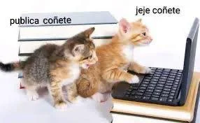Coñete: El meme viral que te hará reír a carcajadas