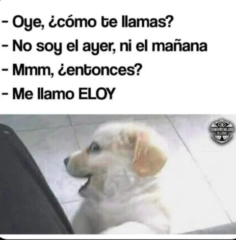 Eloy: El meme del momento que te hará reír sin parar