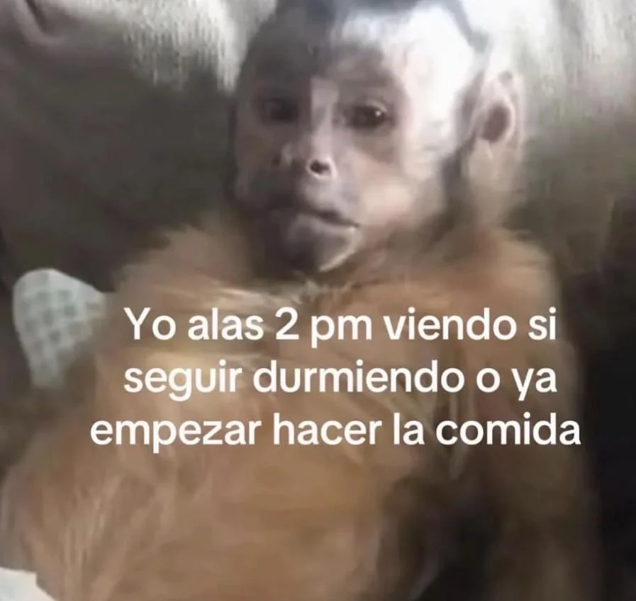 Que será bueno jqjqjqnj