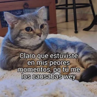 POV: Te consuela quien te traumó (meme viral)