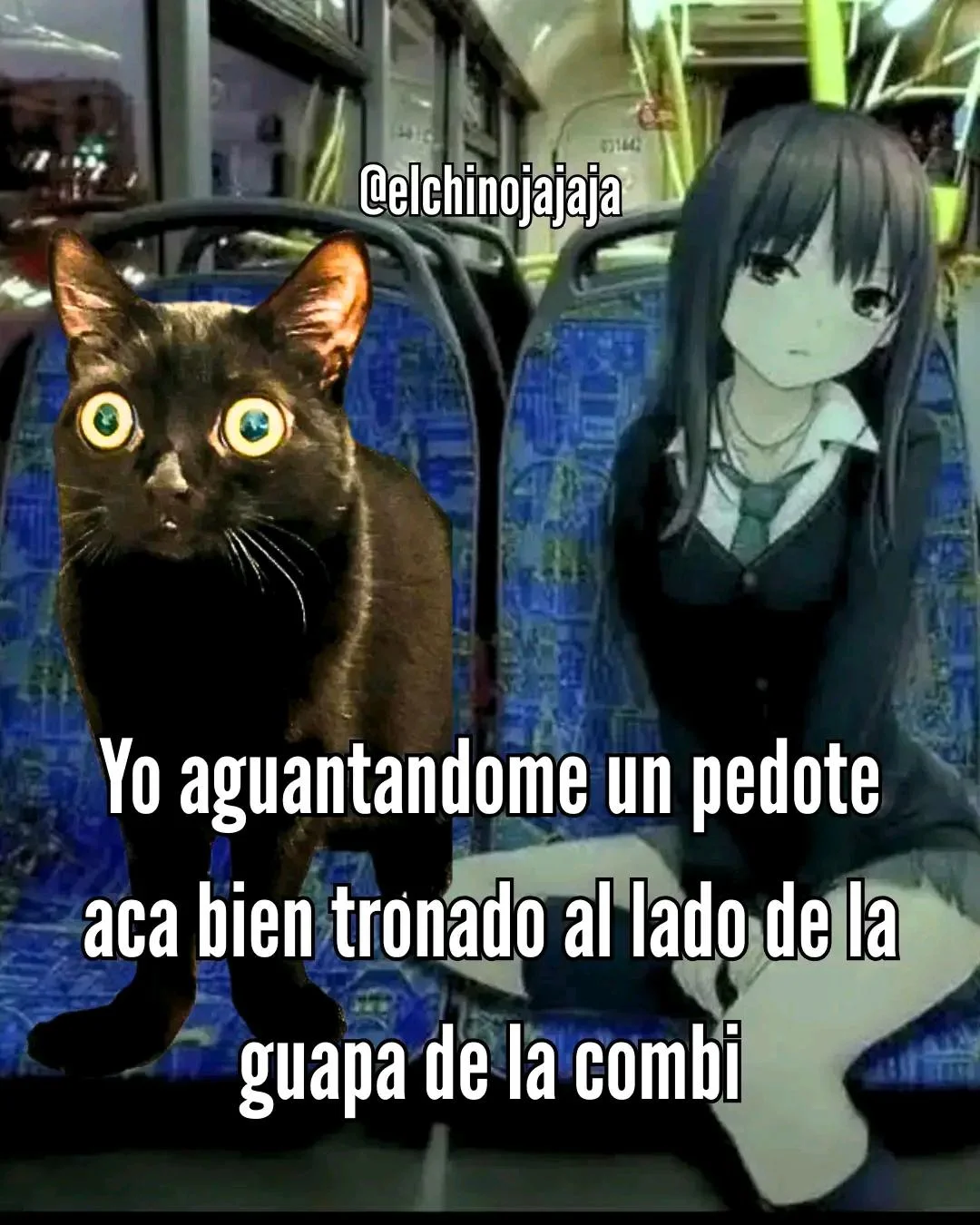 Cuando te proyectas con tus memes