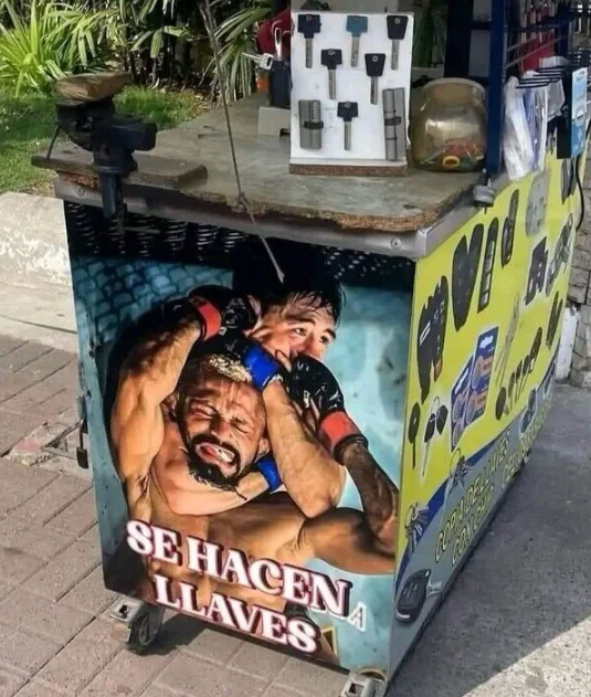 Cuando vas por una copia y sales con una llave de sumisión