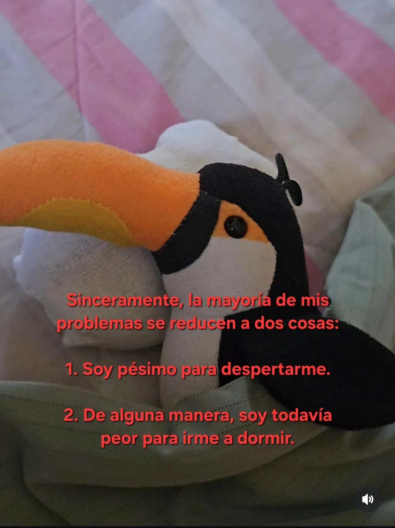 Memes de flojera y sueño: ¡La vida es dura, la cama llama!