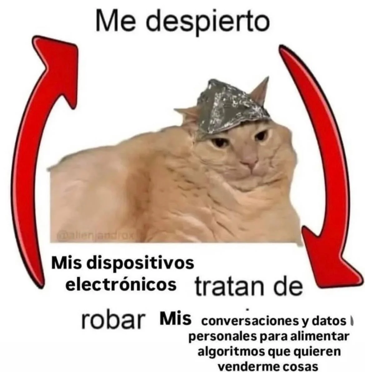 Martes conspiranoico