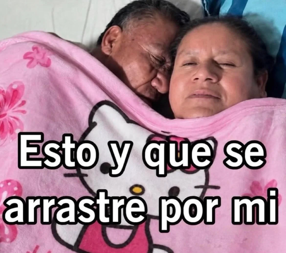 Memes Vespertinos: Tu Dosis Diaria de Humor para la Tarde