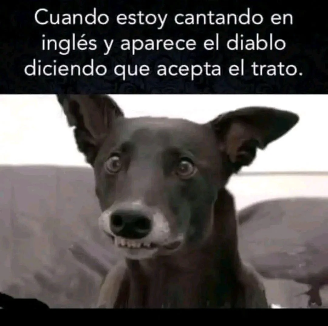 Memes de madrugada: Jajaja y luego a estas horas... ¡Puro insomnio!