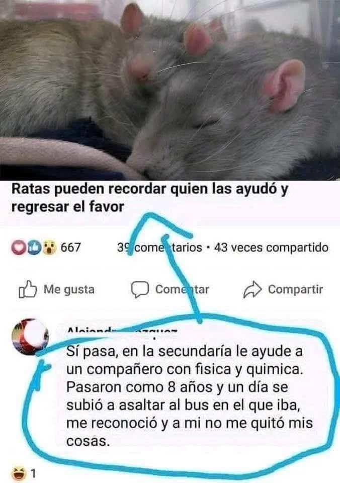 Amigos :3 - Los memes más divertidos para compartir