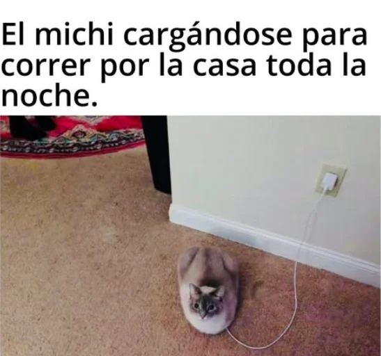 Cuando correr se siente como pagar impuestos