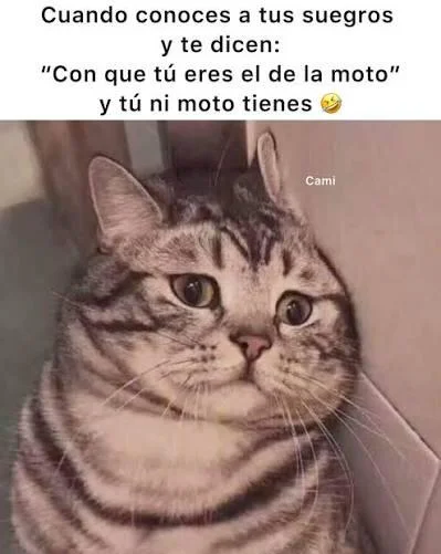 Secretos familiares: ¡Mi familia es un desastre!