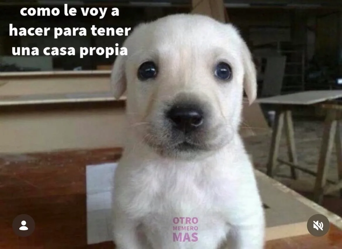 Memes Domingueros: La dosis de risa para tu fin de semana