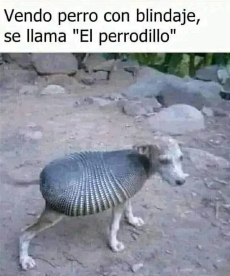 Hibridación