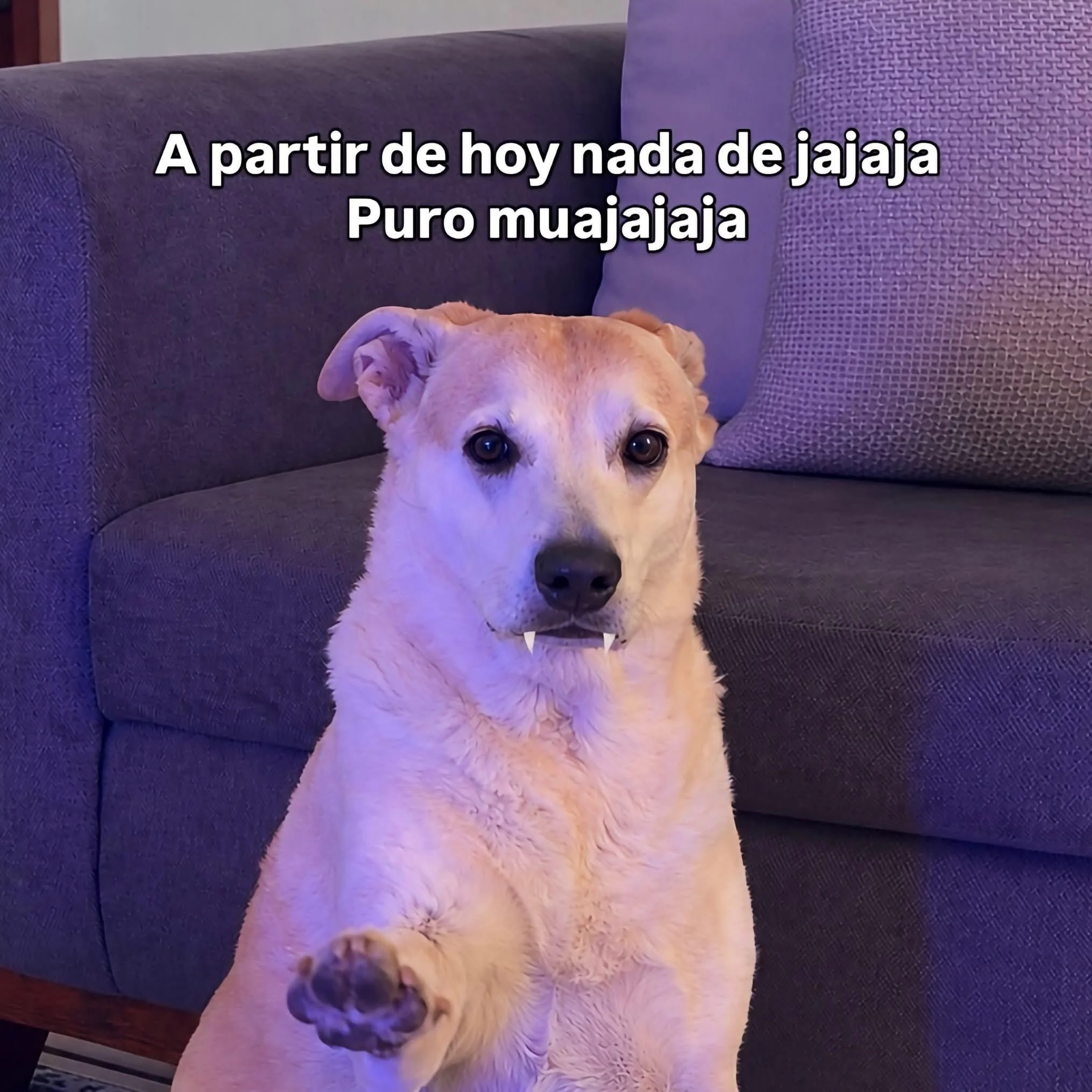 Memes Diabólicos: El Humor Más Oscuro y Viral