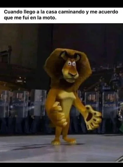 Ups: Memes de errores épicos y momentos incómodos