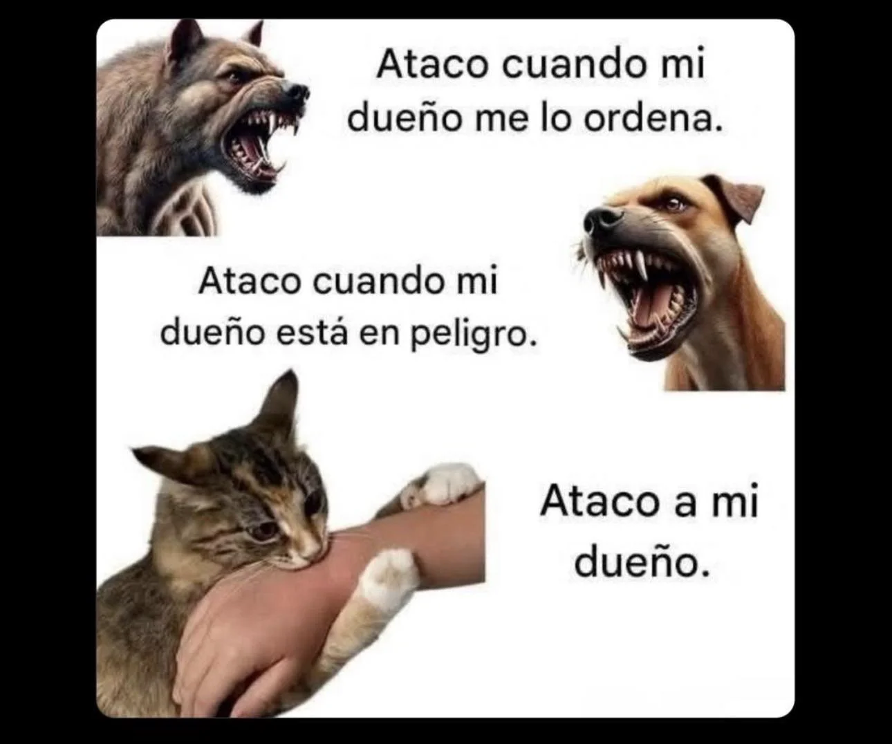 ¿Por qué son así? Memes que te harán decir '¡Es verdad!'