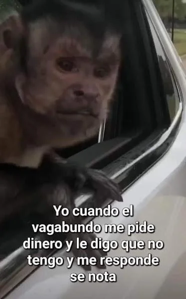 Uy pero que