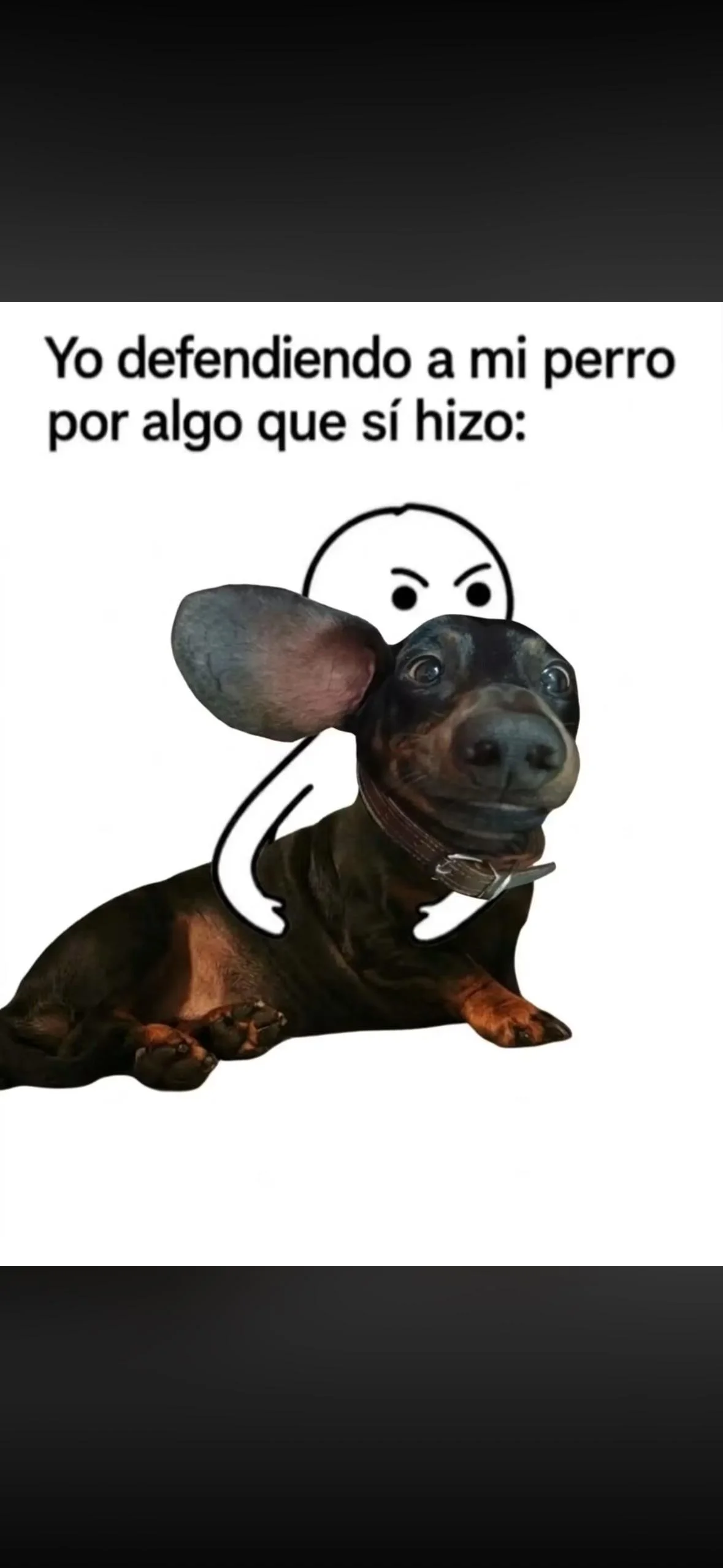 Cuando te identificas con un meme y lo sabes 😅