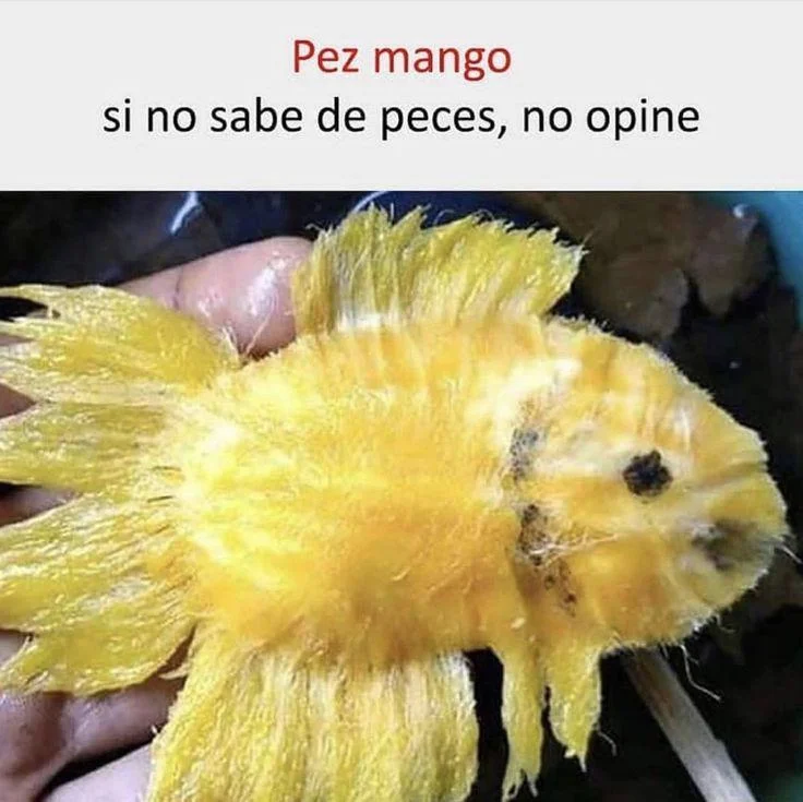 Pez mango