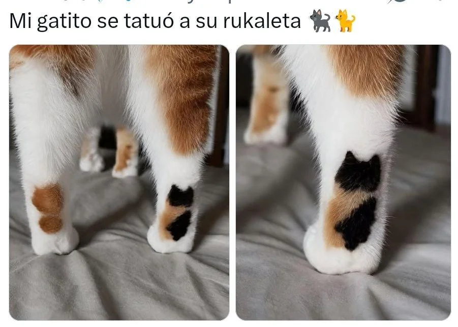 Eso es verdadero amor ❤️