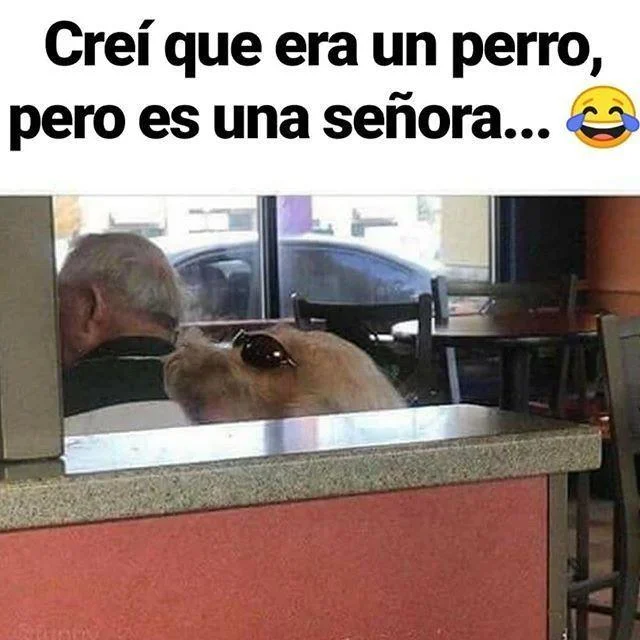 ¿Ves lo mismo que yo? Memes de situaciones cotidianas