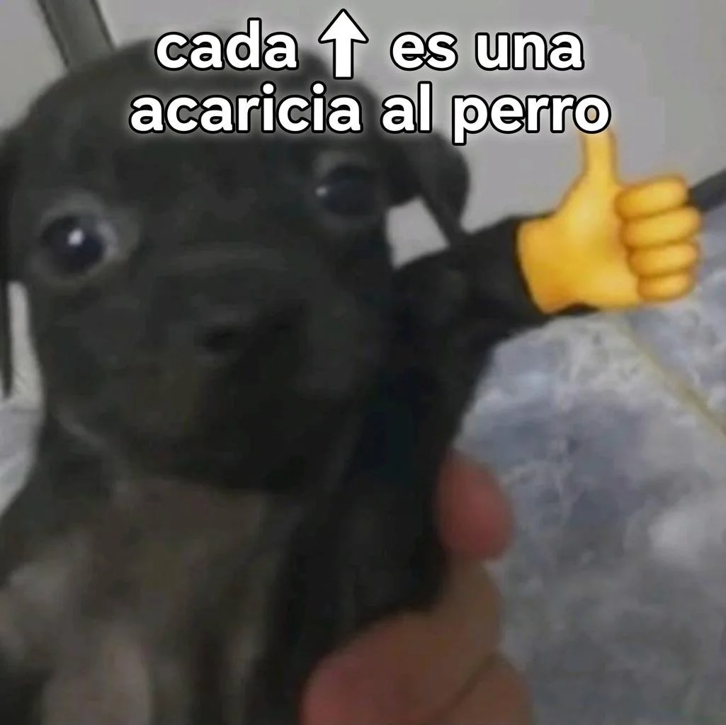 Acarícialo: Memes para pedir mimos y apapachos