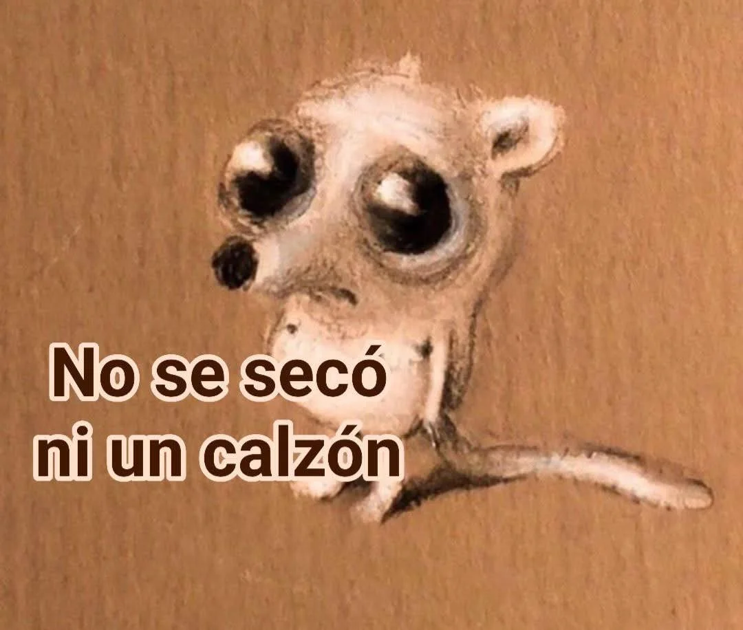 Cuando llueve una semana entera en tu ciudad