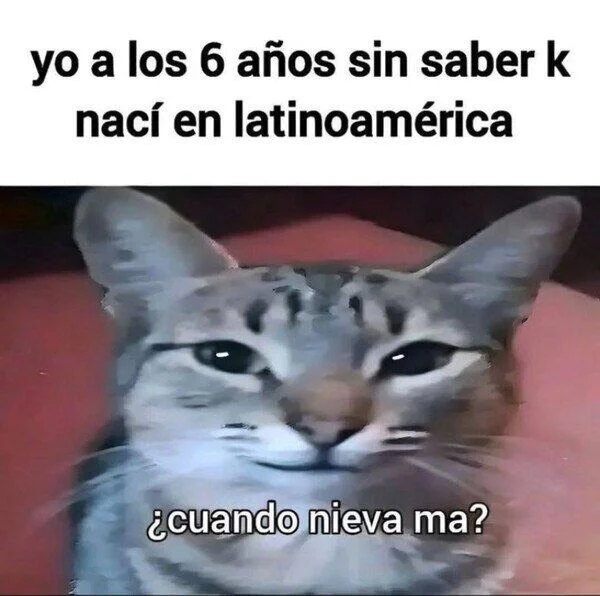 Cuando tu mamá te pregunta algo y no entiendes