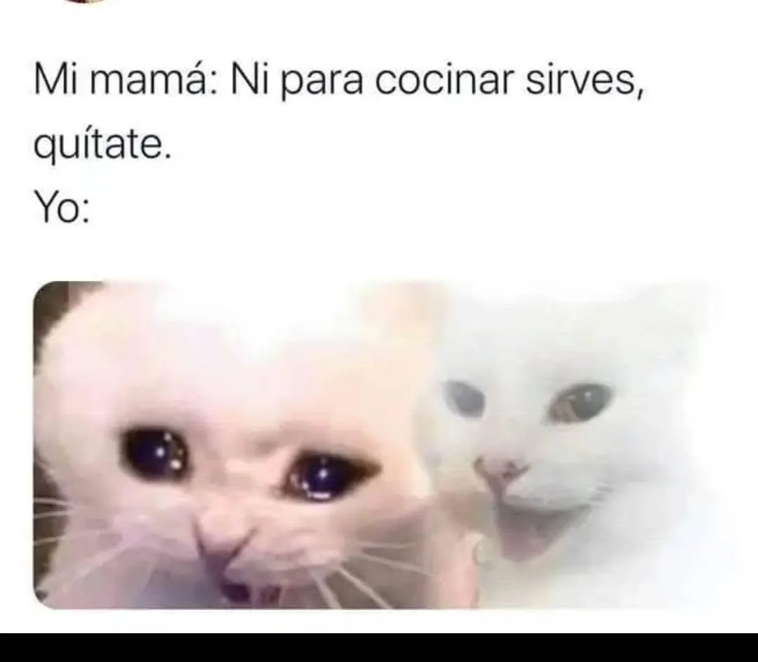 El tip de cocina que cambiará tu vida (o la hará más divertida)