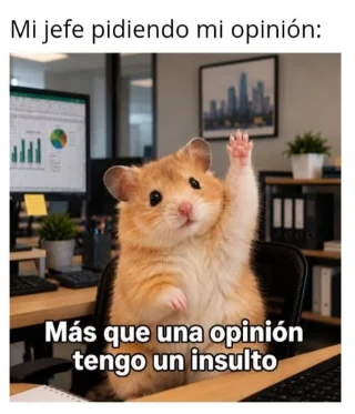 Feedback o insulto: ¿Dónde está la línea en internet?