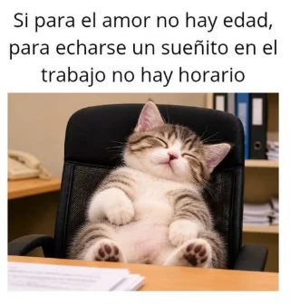 El sueñito de 15 minutos que todos necesitamos en la oficina