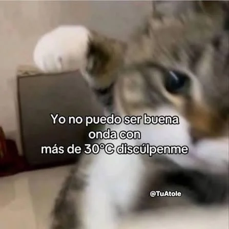 Quien si ??