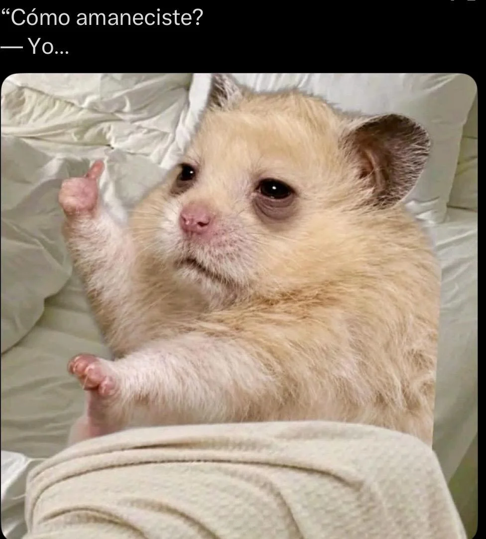 Viernes y el cuerpo lo sabe: ¡Memes para el fin de semana!