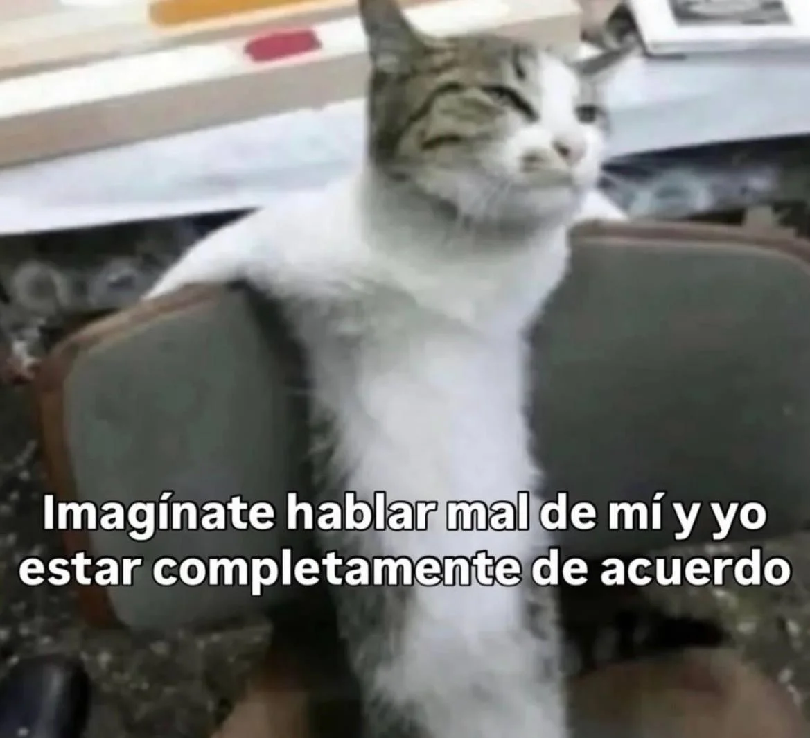 Viernes de memitos