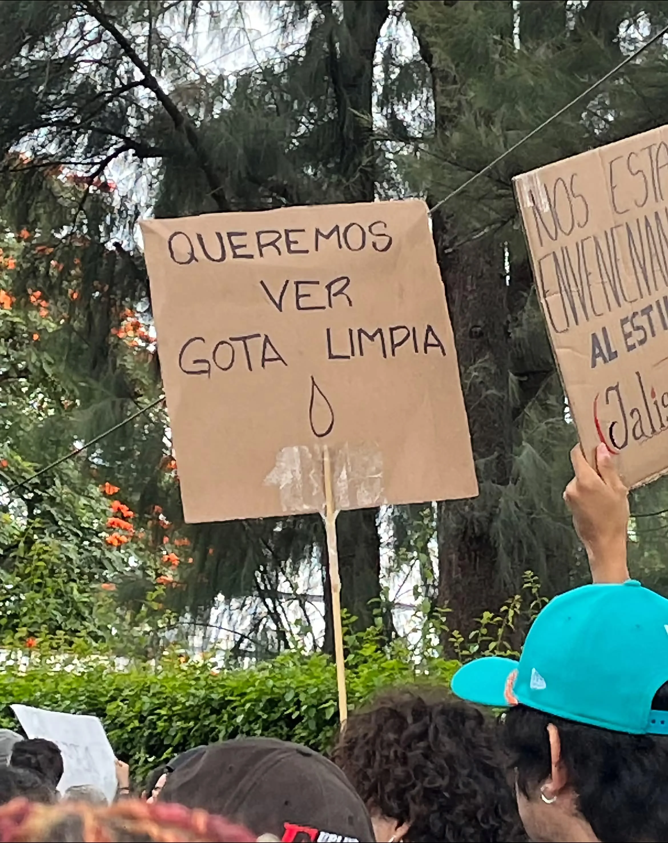 ¿Mensaje correcto? Memes que te harán dudar