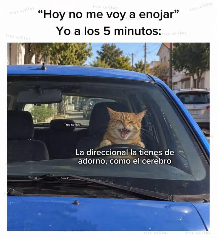 Memes: Conozco a muchos jajaja ¿Tú también?